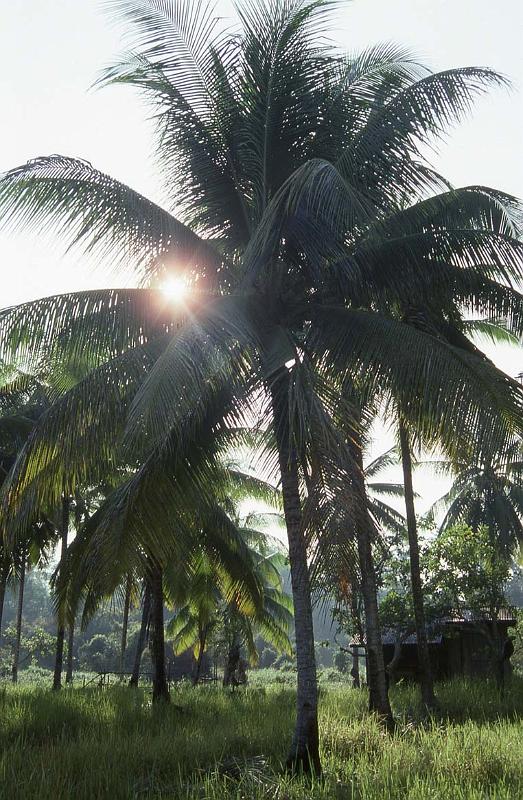 RWT 0114 111-29 Malaysia.jpg